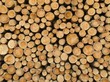 Holzstapel II