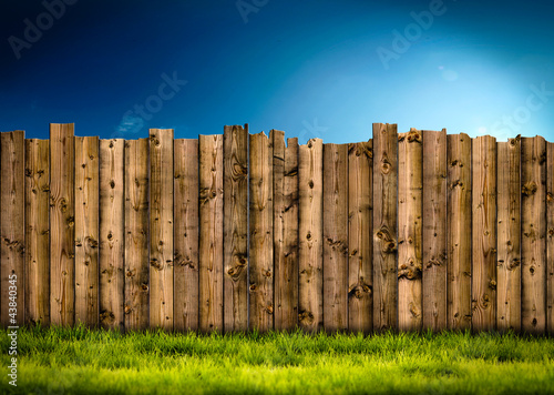 Illustration: Garden Garden