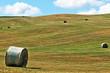 Lavori agricoli sull'appennino bolognese: fienagione