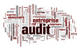 Audit