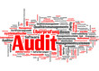 Audit