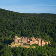 Heidelberger Schloss
