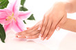 Beautiful woman hands and lily flower