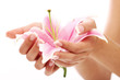 Beautiful woman hands and lily flower