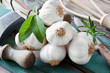 Knoblauch