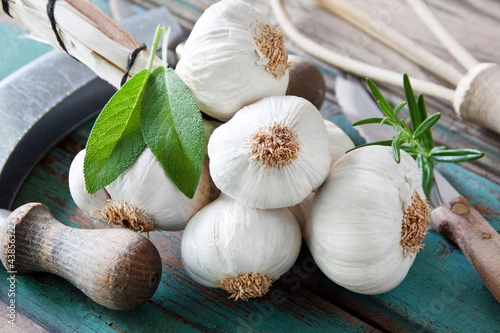 Foto: Knoblauch Knoblauch