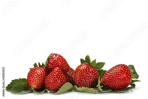 Foto: Fresas en la parte baja del encuadre. Fresas en la parte baja del encuadre.