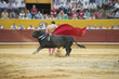 Torero ejecutando un precioso pase estatuario.