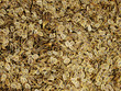 dill seed