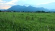 Alps - Meadow with Mountains