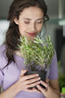 Woman smelling a rosemary plant