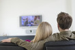 Rear view of a couple watching television