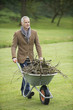 Man collecting firewood in a park