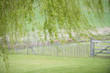 Photo: Tree with fence in a field Tree with fence in a field