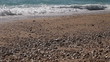 Beach view