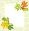 Decorative frame with acorns, rowan and maple leaves