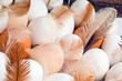 Eggs5