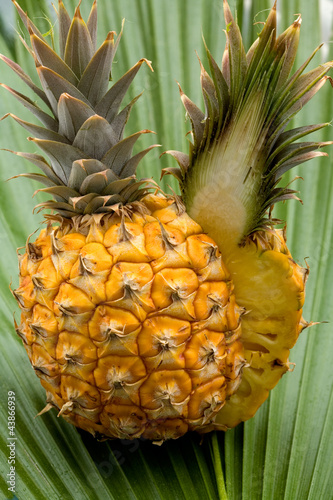 Photo: Fresh pineapple on the palm leaf Fresh pineapple on the palm leaf