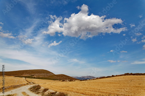 Foto: Campagne d'andalousie, ciel bleu, nuages blancs. Campagne d'andalousie, ciel bleu, nuages blancs.