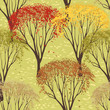 Background with trees in autumn season