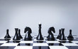 Chess team