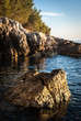 Foto: Rocky Croatian beach at sunset. Rocky Croatian beach at sunset.