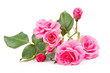 Rosen zum Valentinstag