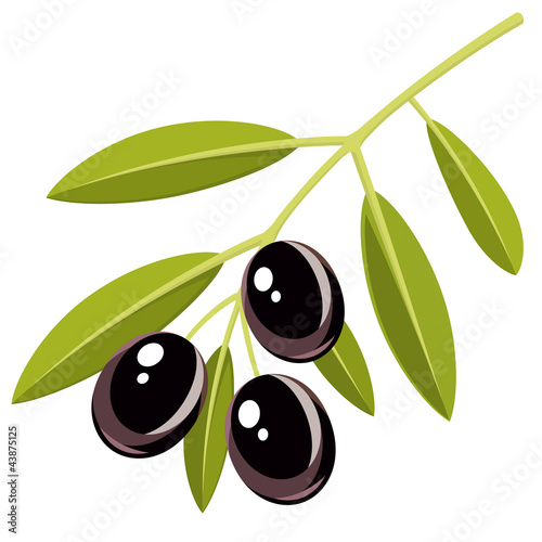 Vector: Black olives Black olives
