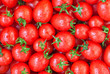 Healthy food, background. Red tomatoes with dew
