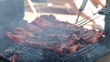 Barbecue Meat, closeup.