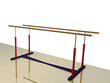 sports device_ingot on white background - 3D