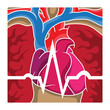 Electrocardiogram Wave Over Heart and Lungs