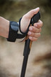 Nordic Walking hand