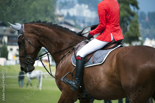 Photo: horsewoman in uniform horsewoman in uniform
