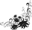 Decorative vector ornament