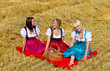 Picknick im Stroh
