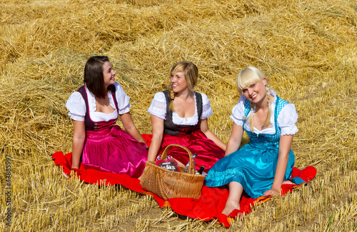 Photo: Picknick im Stroh Picknick im Stroh