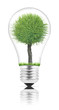 Photo: Lightbulb Lightbulb