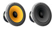 Loudspeaker vector