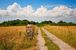 Foto: Walking Tiger Walking Tiger