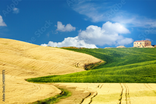 Foto: typical Tuscany landscape, Italy typical Tuscany landscape, Italy