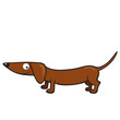 Vector: Dachshund Dachshund