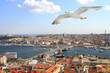 Birds eye view of Istanbul