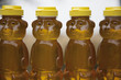 Row of Honey Bears