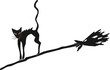 Black cat with a broom
