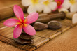 Tropical spa