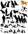 Dogs cats of a rat animals a vector