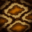 Python snake skin brown background. Vector illustration.