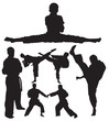 karate vector