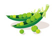 icon bean